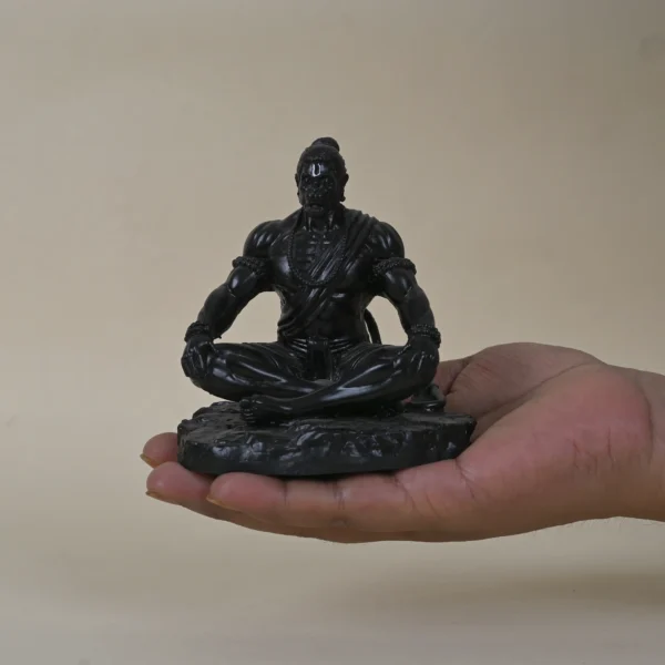 Sadhna Hanuman Idol (Black)